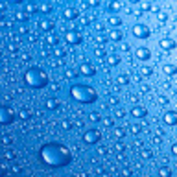 Meet your Posher, Michele - Picture 1 of 1